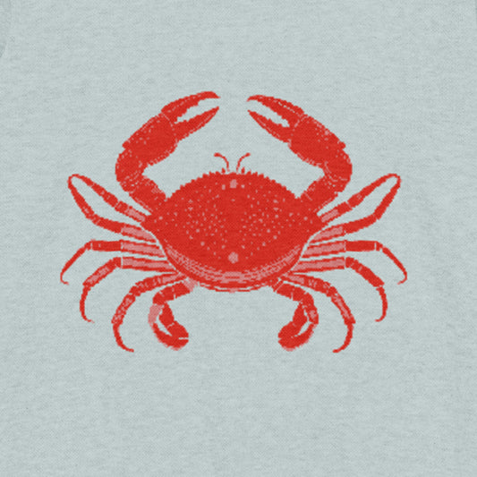 Crabby crew knit sweater – Seafoam