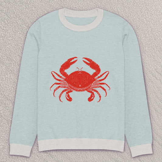 Crabby crew knit sweater – Seafoam