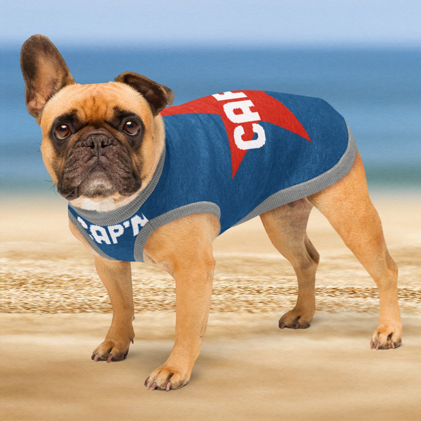 Cap'n knit pet sweater